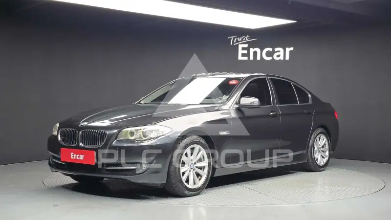 2010 BMW 520