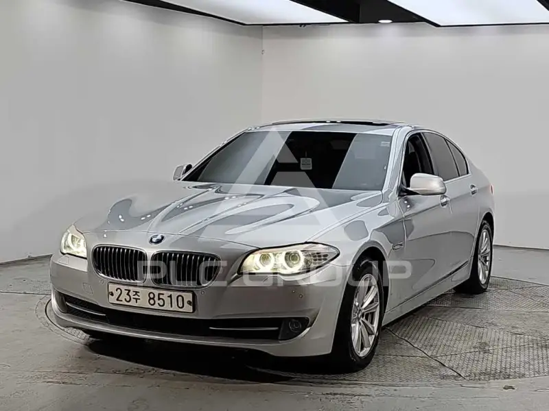2010 BMW 520
