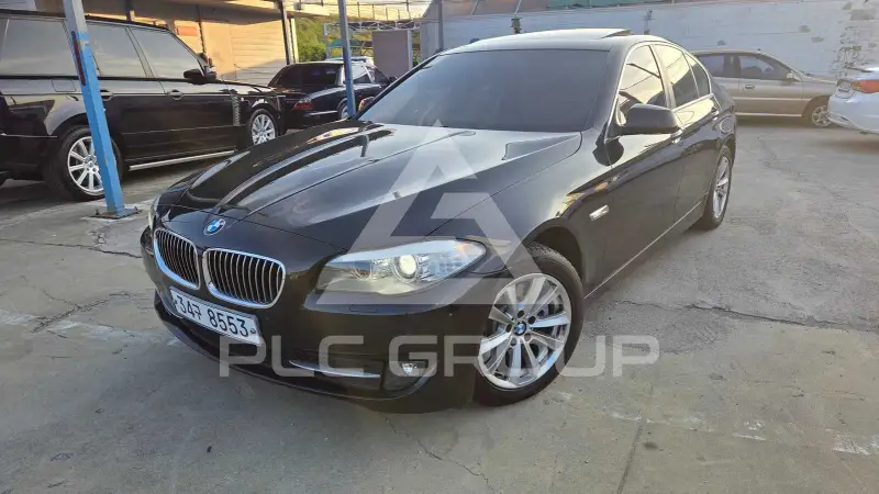 2010 BMW 520