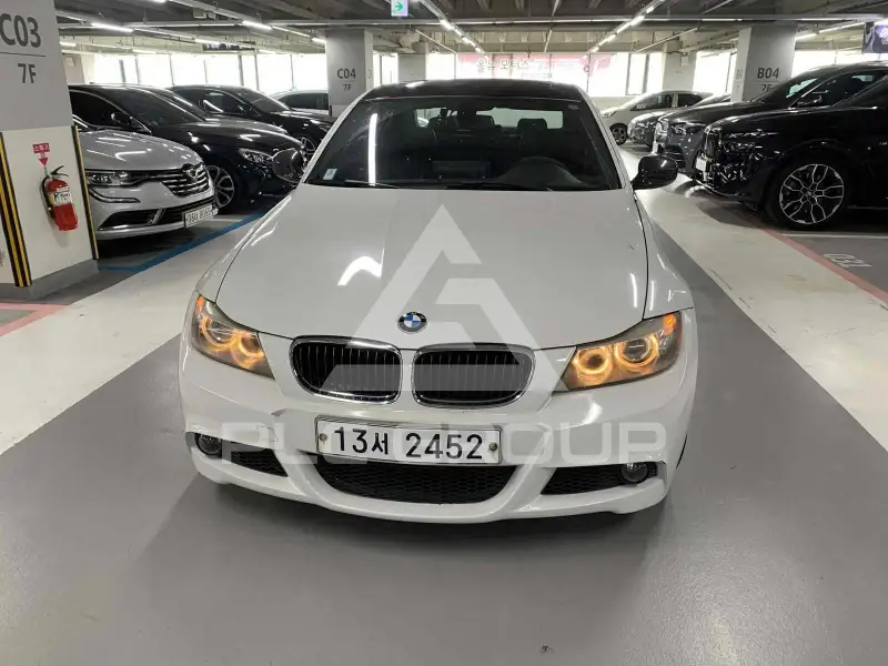 2010 BMW 320M