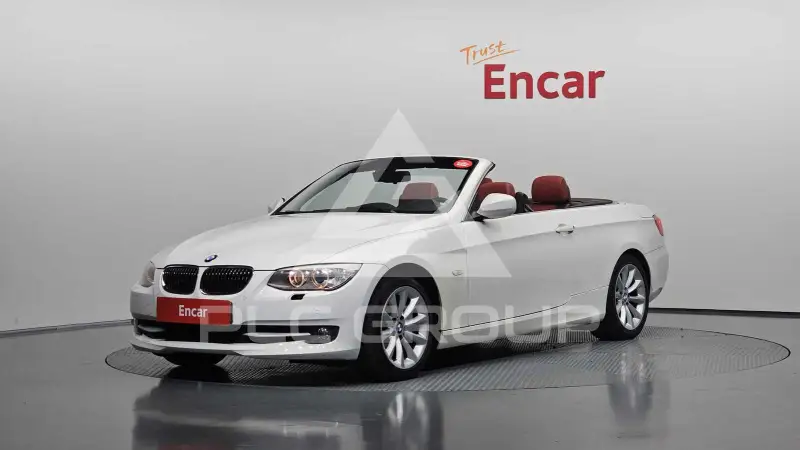 2010 BMW 320
