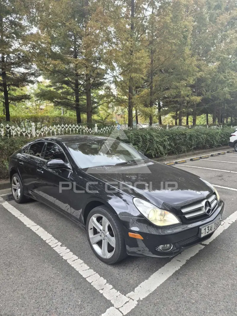 2010 Mercedes Benz CLS-Class