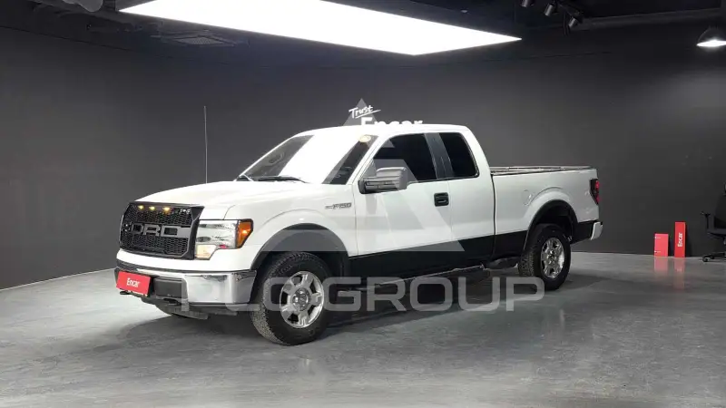 2010 Ford F-150