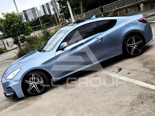2010 Hyundai Genesis
