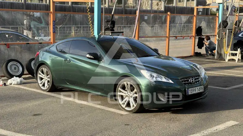 2010 Hyundai Genesis