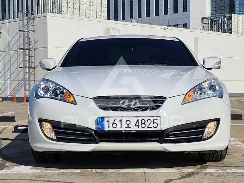 2010 Hyundai Genesis
