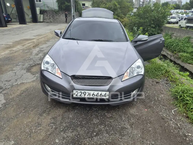 2010 Hyundai Genesis
