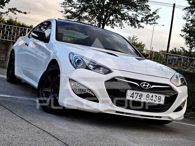 2010 Hyundai Genesis