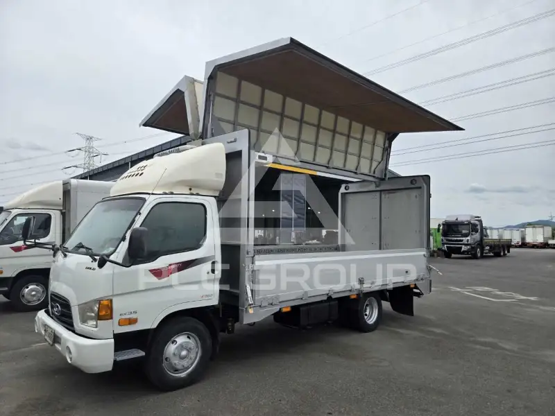 2010 Hyundai Mighty