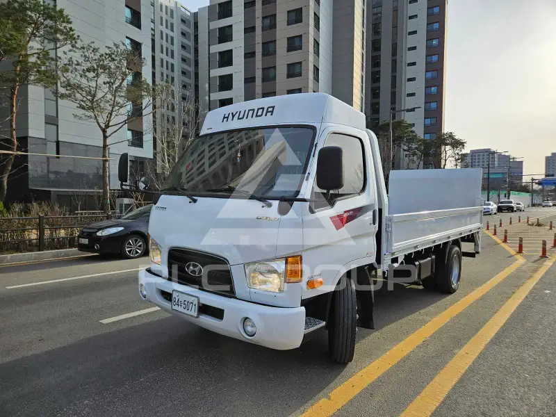 2010 Hyundai 