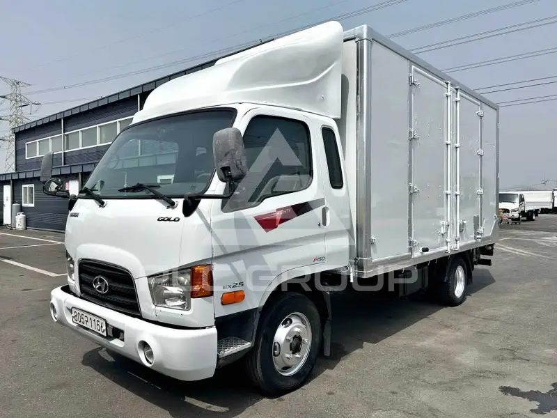 2010 Hyundai 