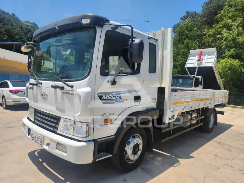 2010 Hyundai Mega truck