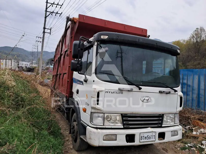 2010 Hyundai Mega truck
