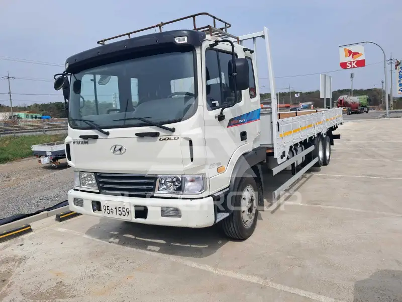 2010 Hyundai Mega truck