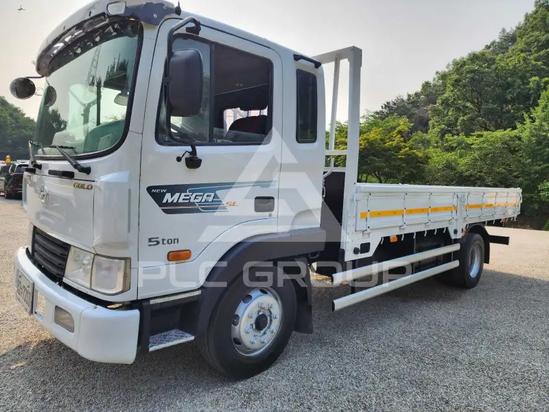 2010 Hyundai Mega truck