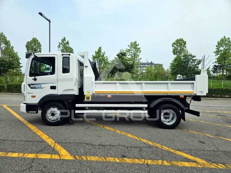2010 Hyundai Mega truck