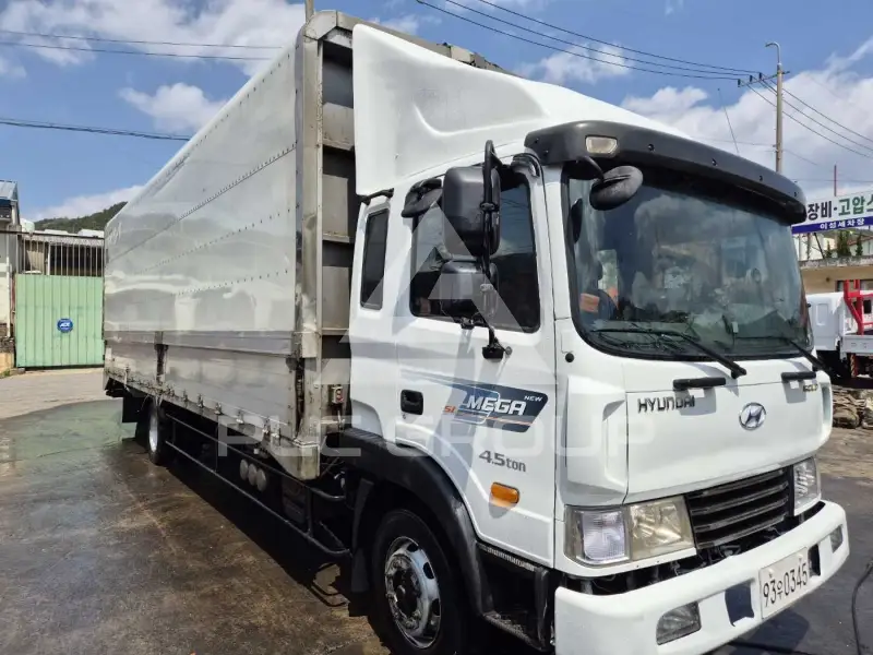 2010 Hyundai Mega truck