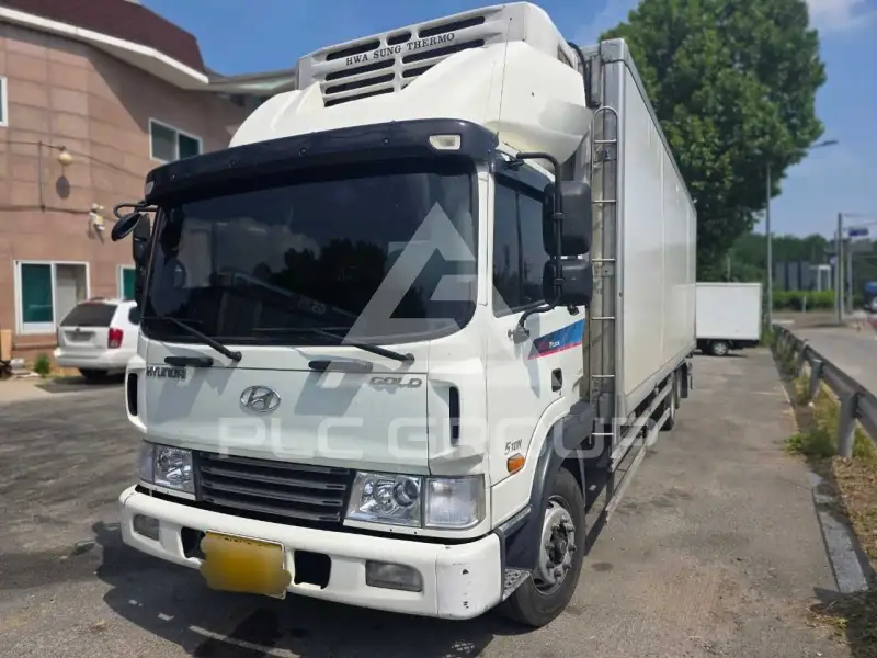2010 Hyundai Mega truck