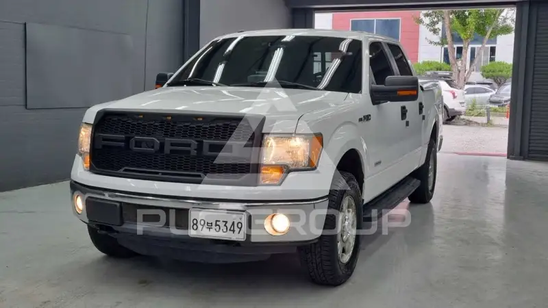 2011 Ford F-150