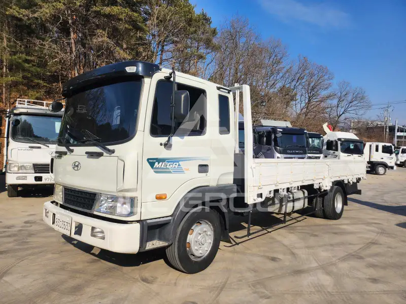 2011 Hyundai Mega truck
