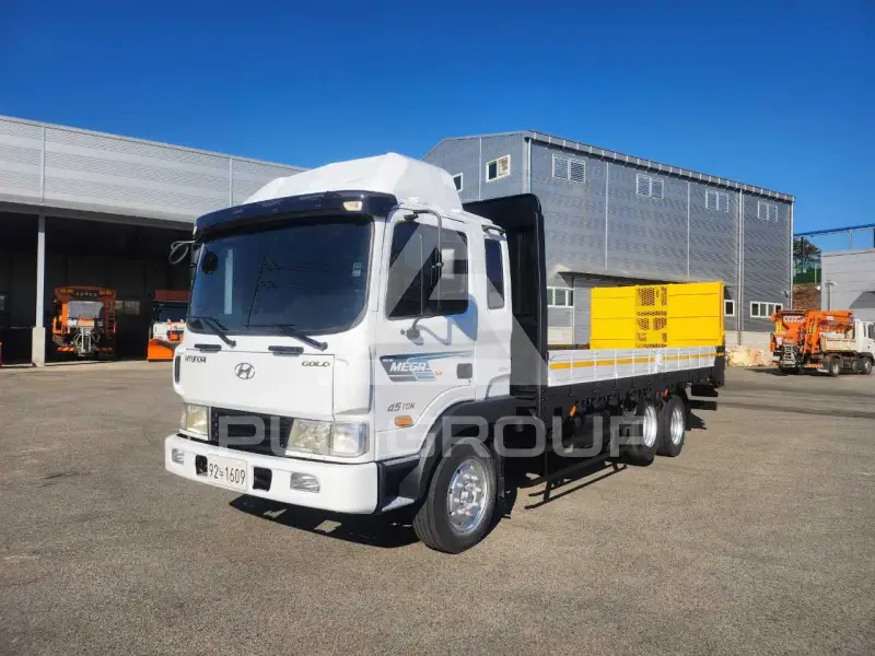 2011 Hyundai Mega truck