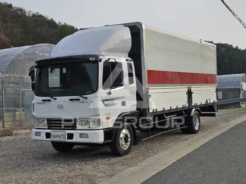 2011 Hyundai Mega truck