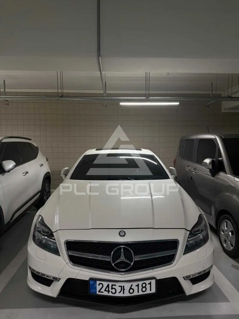 2012 Mercedes Benz CLS-Class