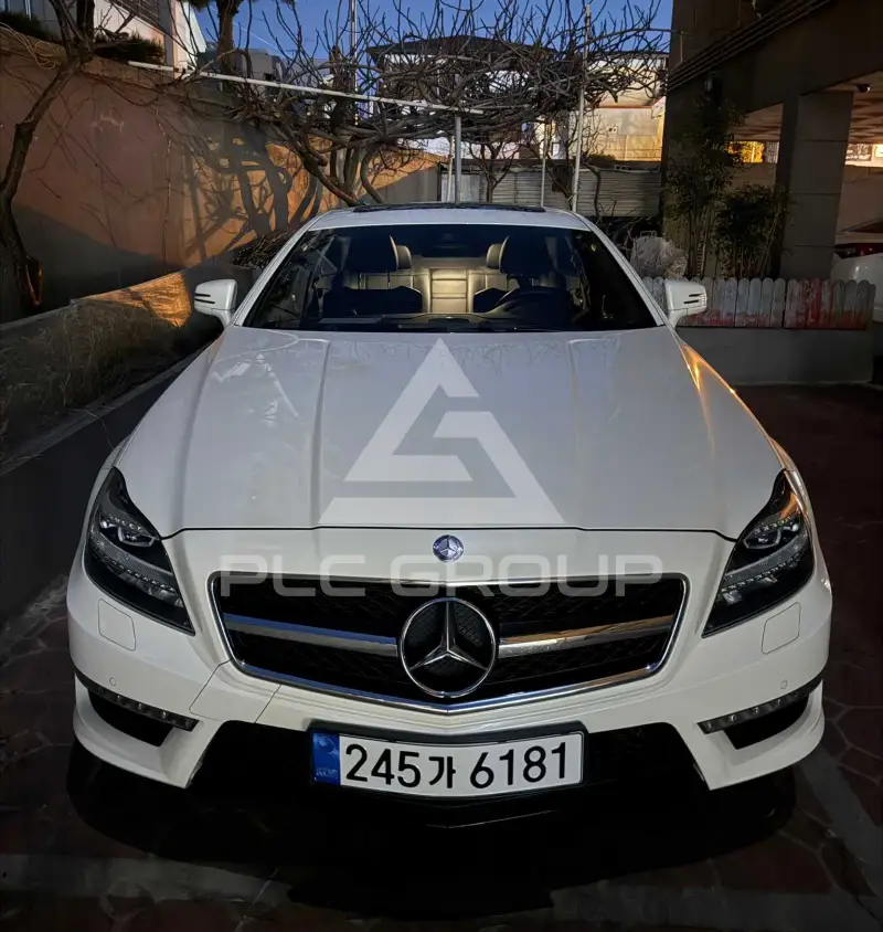 2012 Mercedes Benz CLS-Class