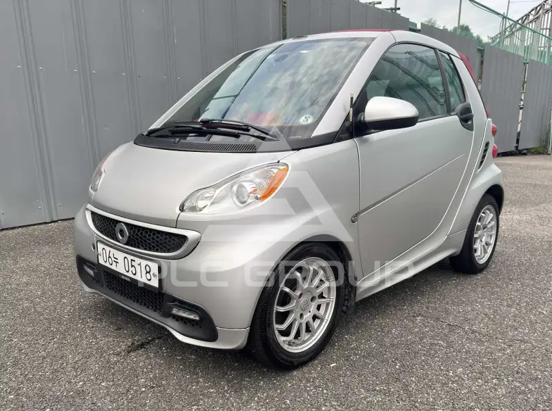 2013 Smart Porto
