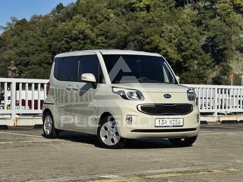 2013 KIA Ray