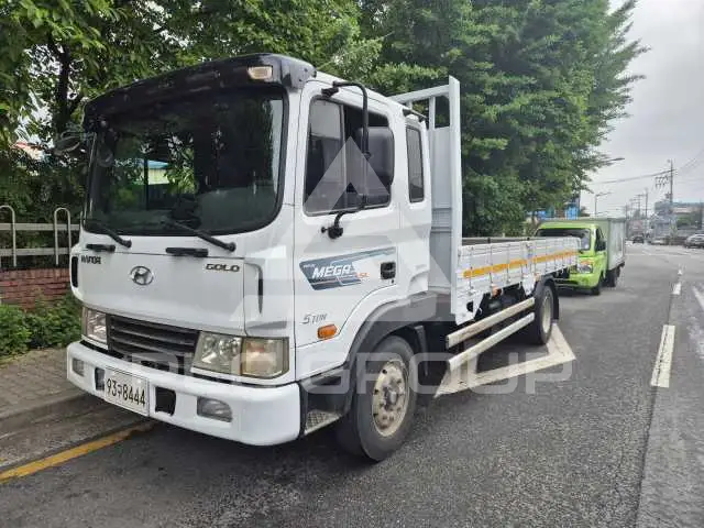 2013 Hyundai Mega truck