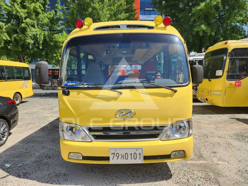 2013 Hyundai Country