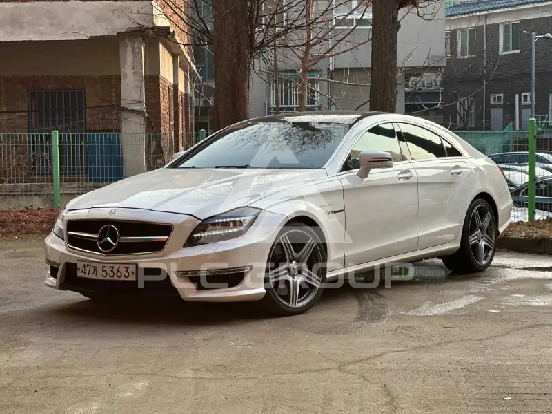 2013 Mercedes Benz CLS-Class