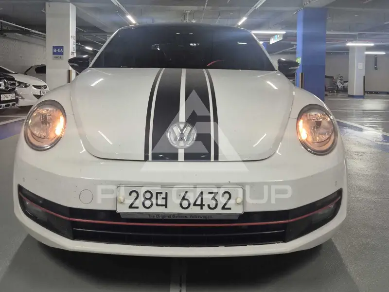 2013 Volkswagen BEETLE