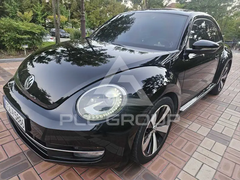 2013 Volkswagen BEETLE