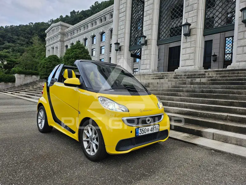2014 Smart Porto