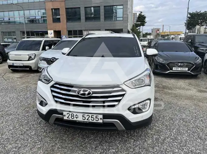 2014 Hyundai Maxcruz