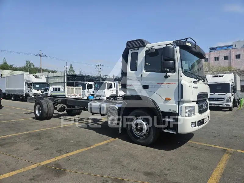 2014 Hyundai TRUCK
