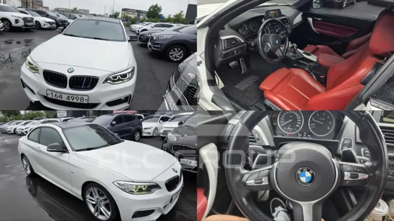 2015 BMW 220M