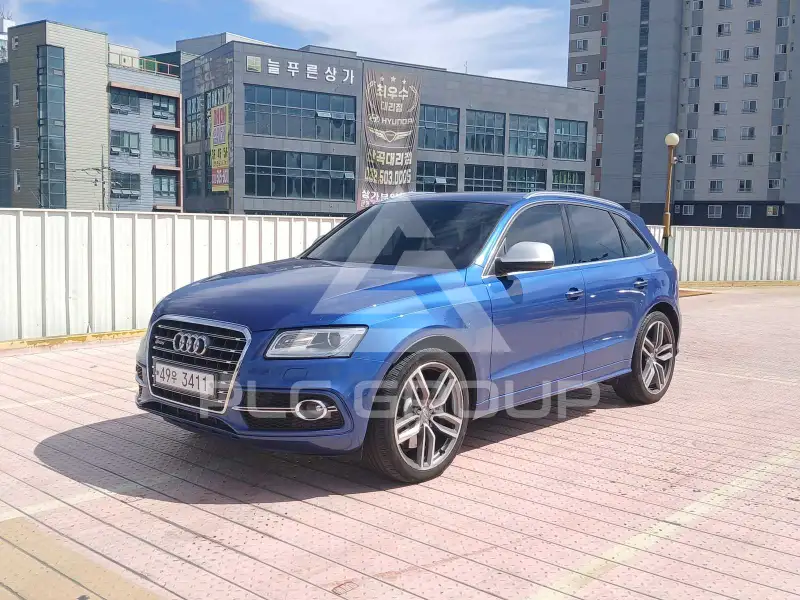 2015 Audi SQ5
