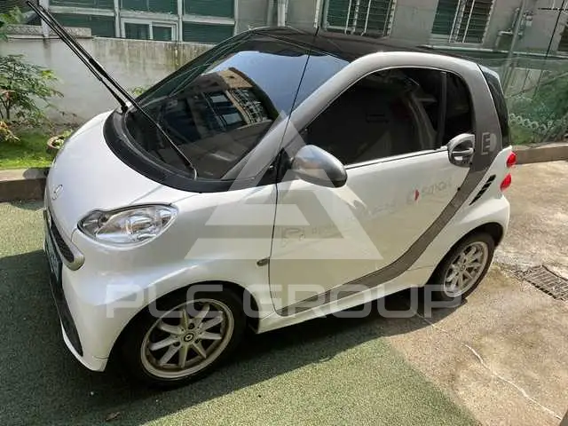 2015 Smart Porto