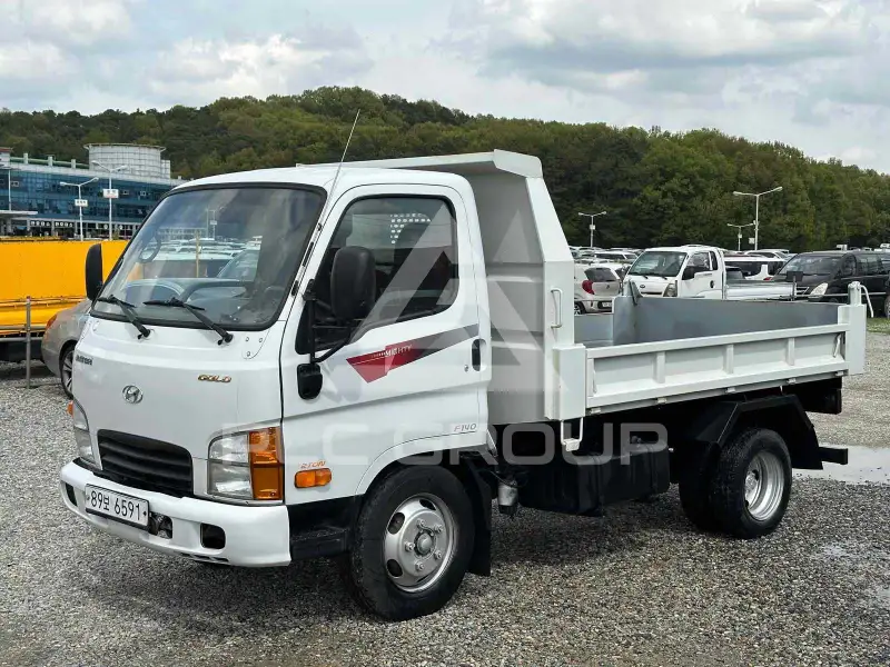 2015 Hyundai Mighty