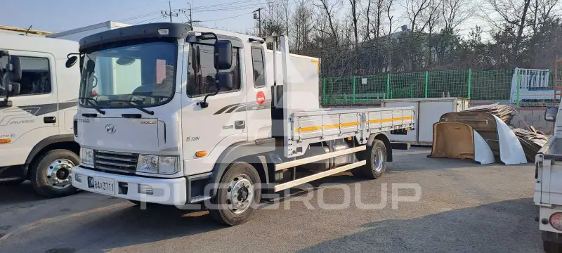 2015 Hyundai Mega truck