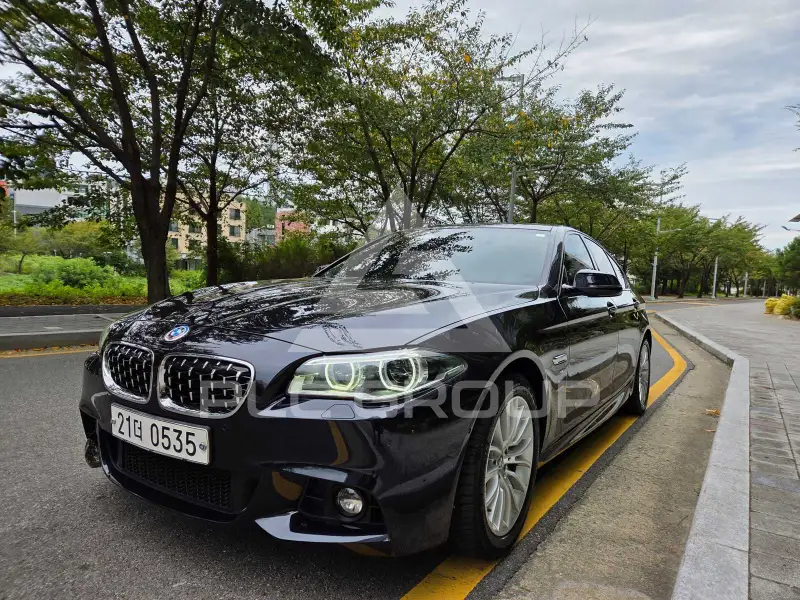 2016 BMW 520M