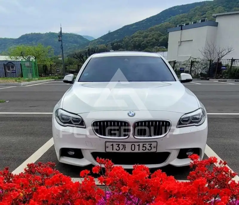 2016 BMW 520M