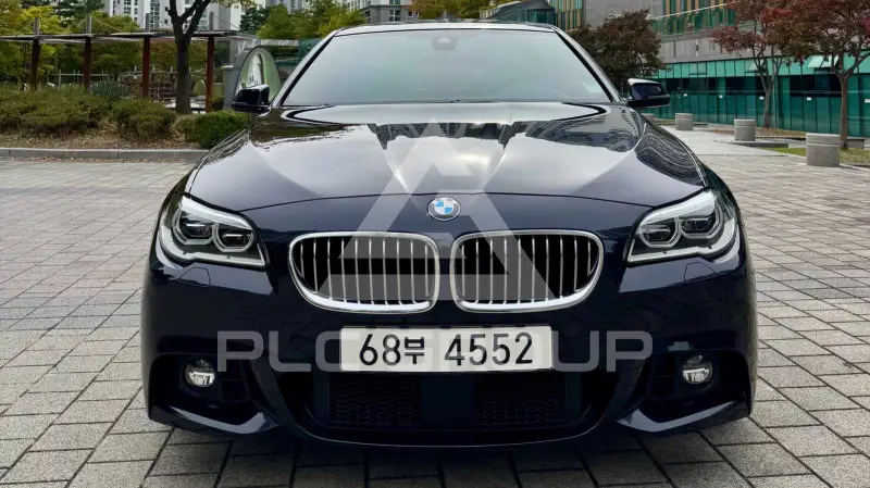 2016 BMW 528M