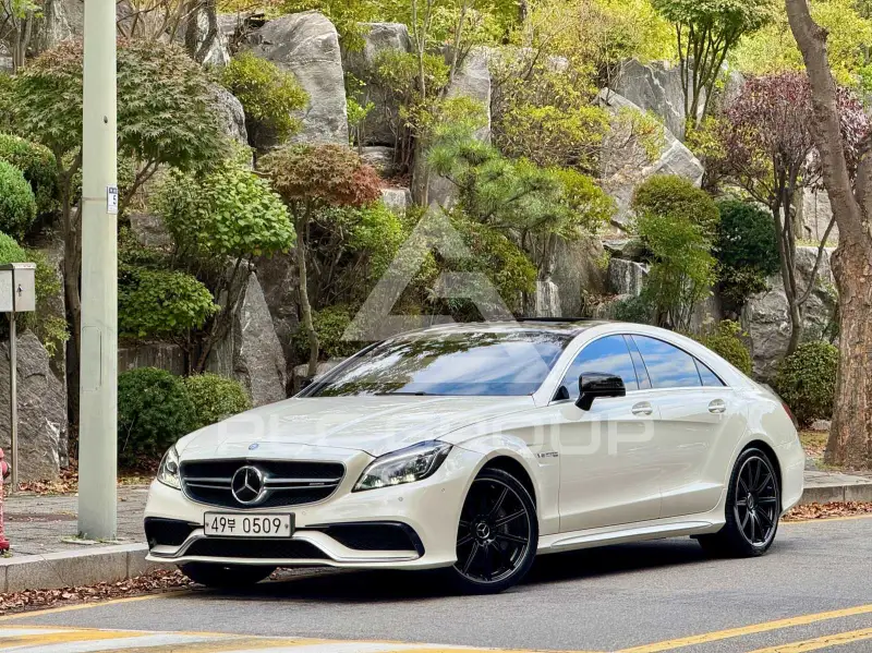 2016 Mercedes Benz CLS-Class