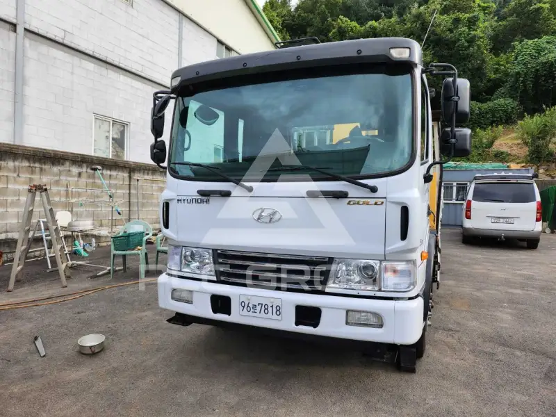 2016 Hyundai Mega truck