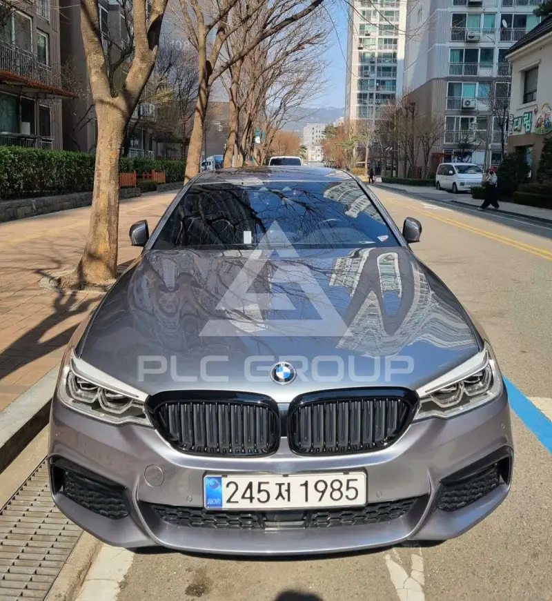2017 BMW 520M
