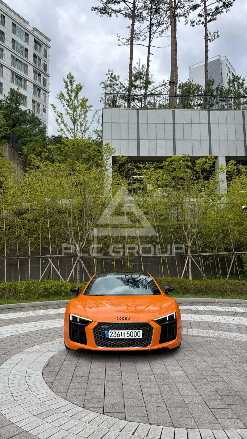 2017 Audi R8